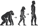 Evolution-Symbol